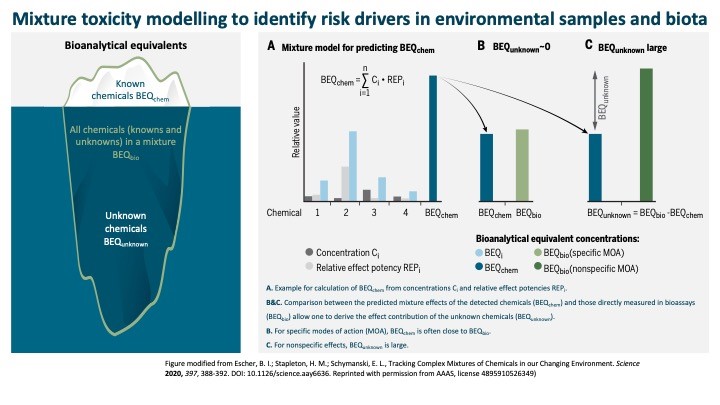 Mixture toxicity modelling